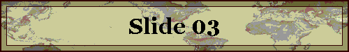 Slide 03