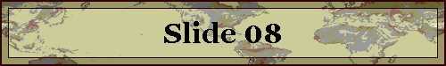 Slide 08