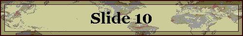 Slide 10