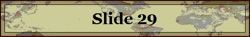 Slide 29