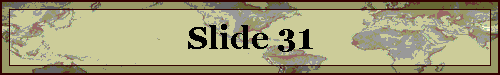 Slide 31